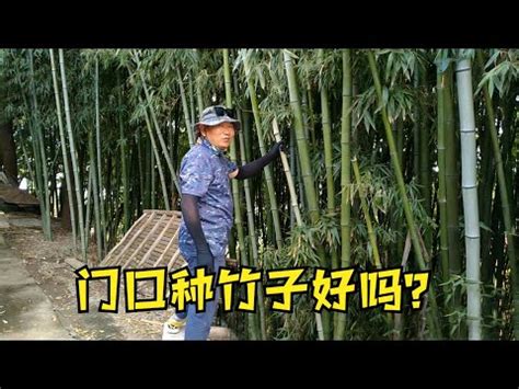 家裡可以種竹子嗎|在家庭花園種植竹子